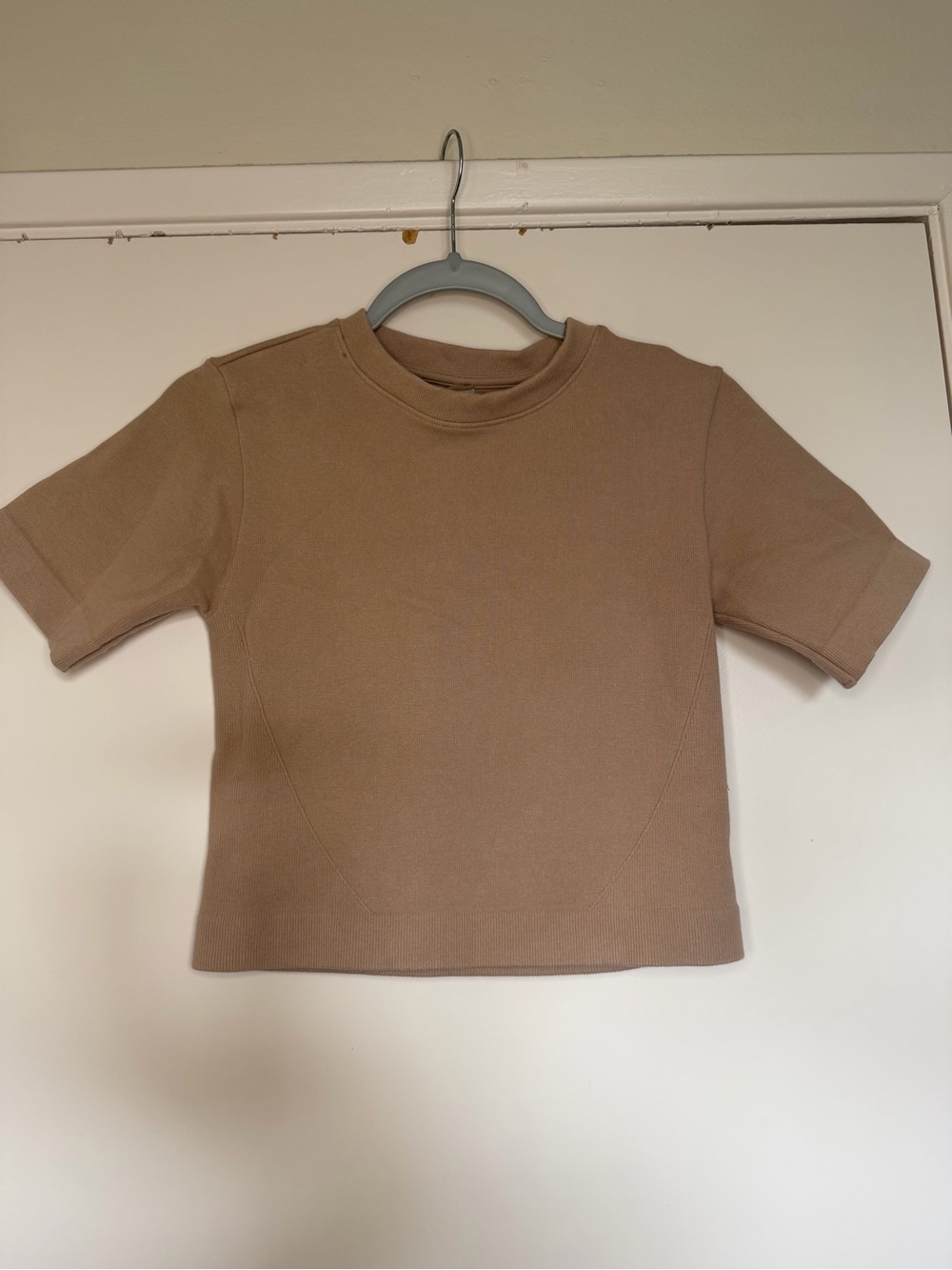 Everlane  Short-Sleeve Crewneck Top in Camel m/l